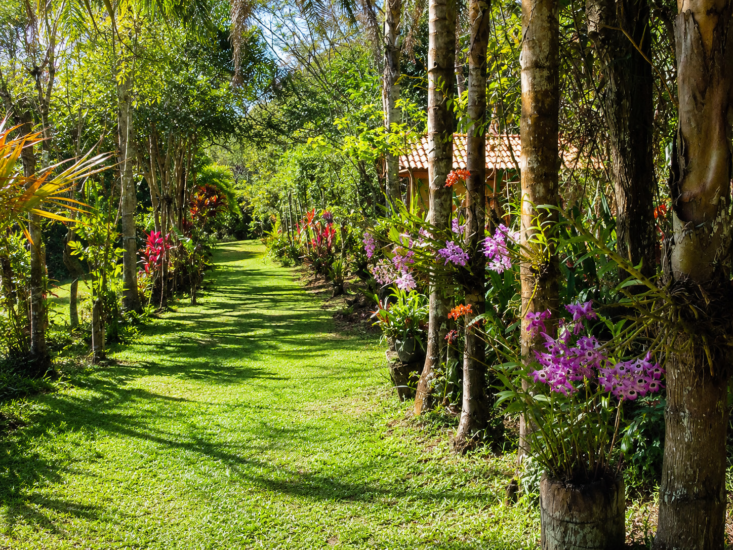 Mata Atlântica Patrimonio Ambiental Apiario Ozoraide