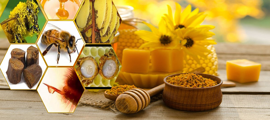 Apiterapia Medicina Natural